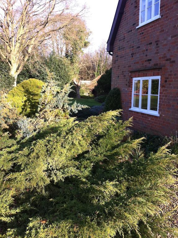 Thatched Farm Bed And Breakfast Woodbridge Exterior photo